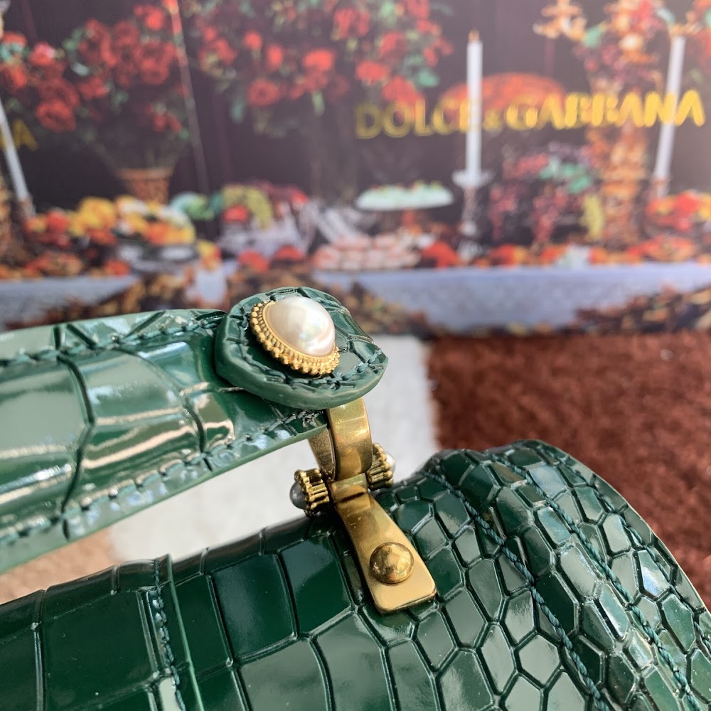Dragons Bags DGn Luxury Bag --93168