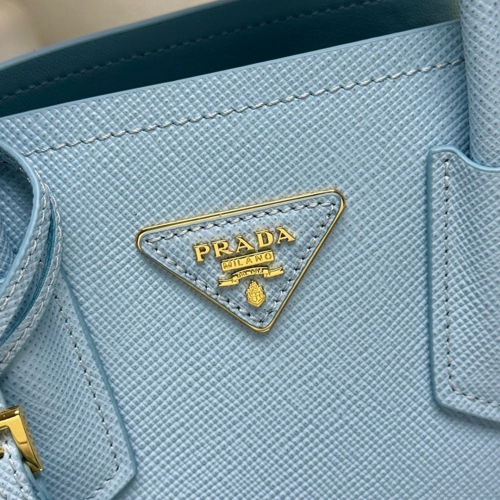 Dragons Bags Pradn Luxury Bag --102220