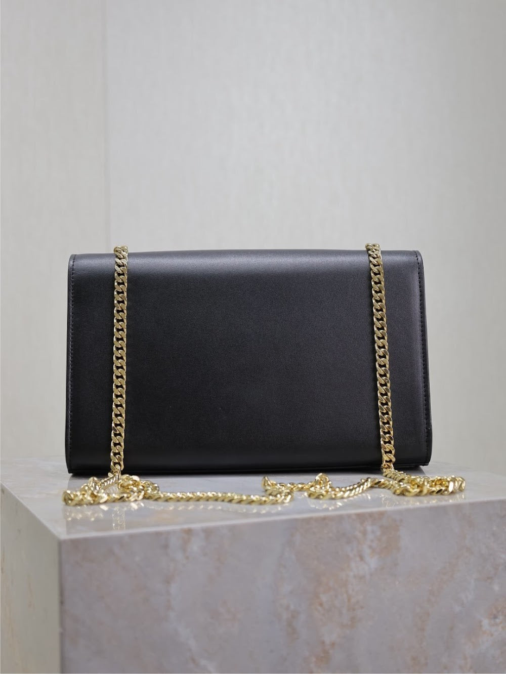 Dragons Bags YSLn Luxury Bag --120531