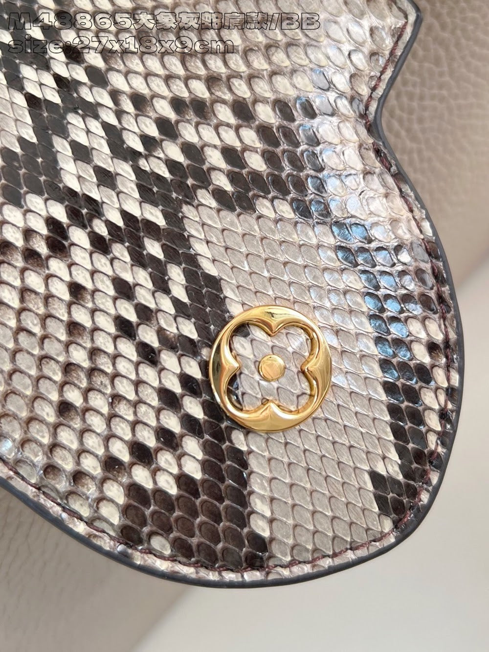 Dragons Bags ln Luxury Bag --95698