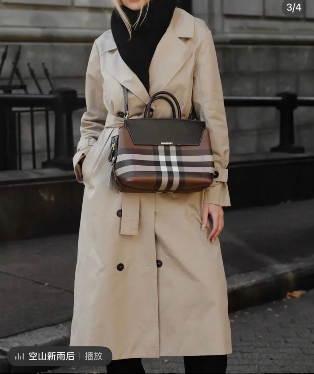Dragons Bags Burberryn Luxury Bag --92840