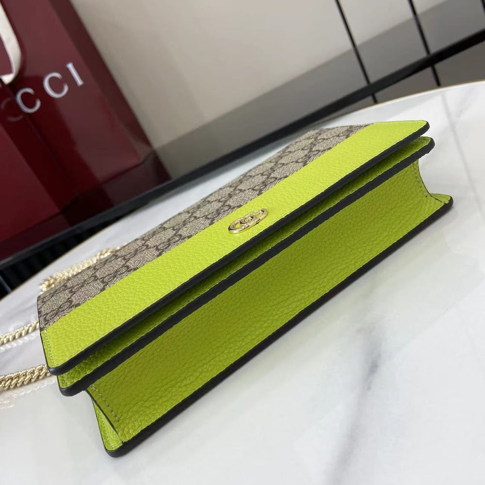 Dragons Bags Guccin Luxury Bag --94551