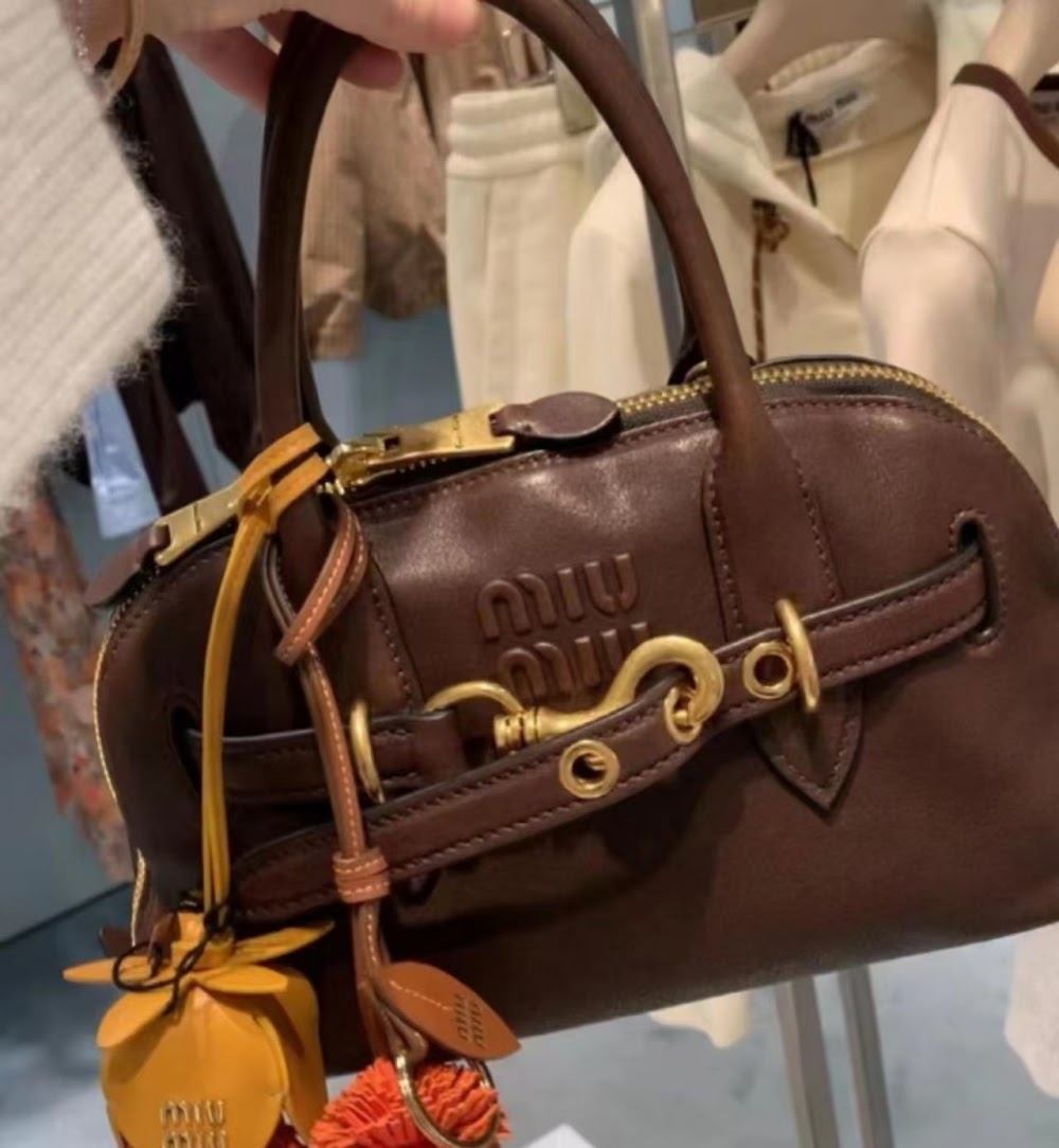 Dragons Bags Miun Miun Luxury Bag --122821