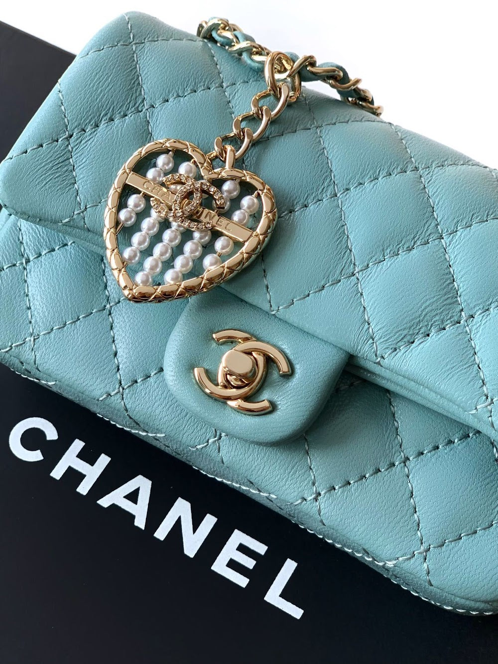 Dragons Bags CHn Luxury Bag --112670