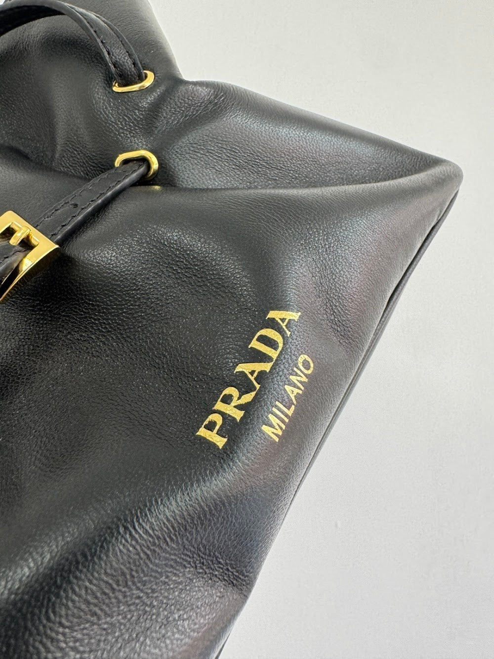 Dragons Bags Pradn Luxury Bag --101584