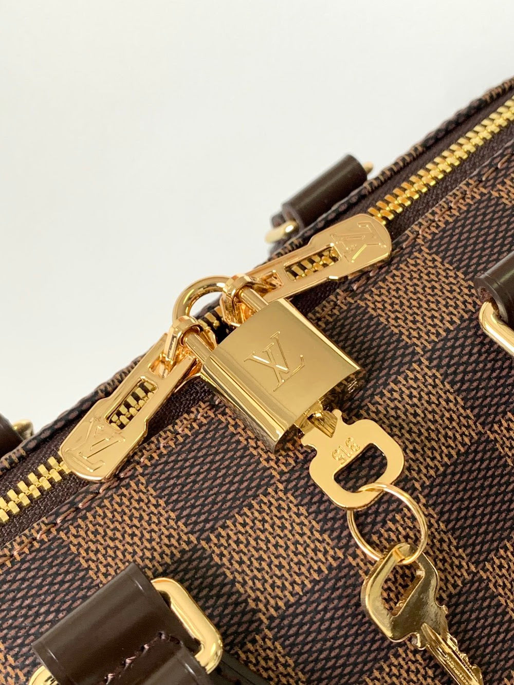 Dragons Bags ln Luxury Bag --81671