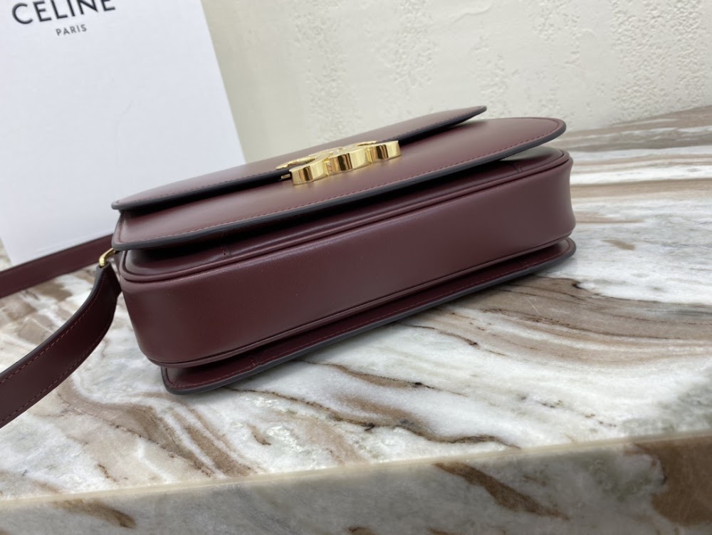 Dragons Bags Celine Luxury Bag --112456