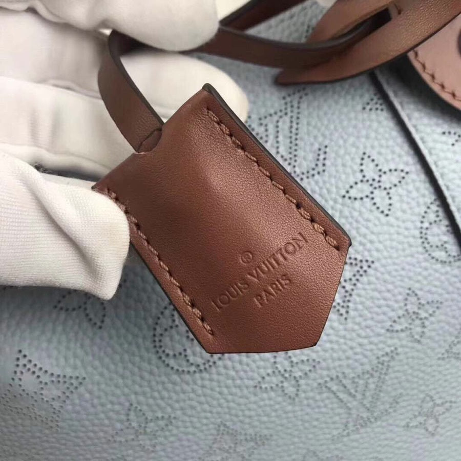 Dragons Bags LV Luxury Bag --55892