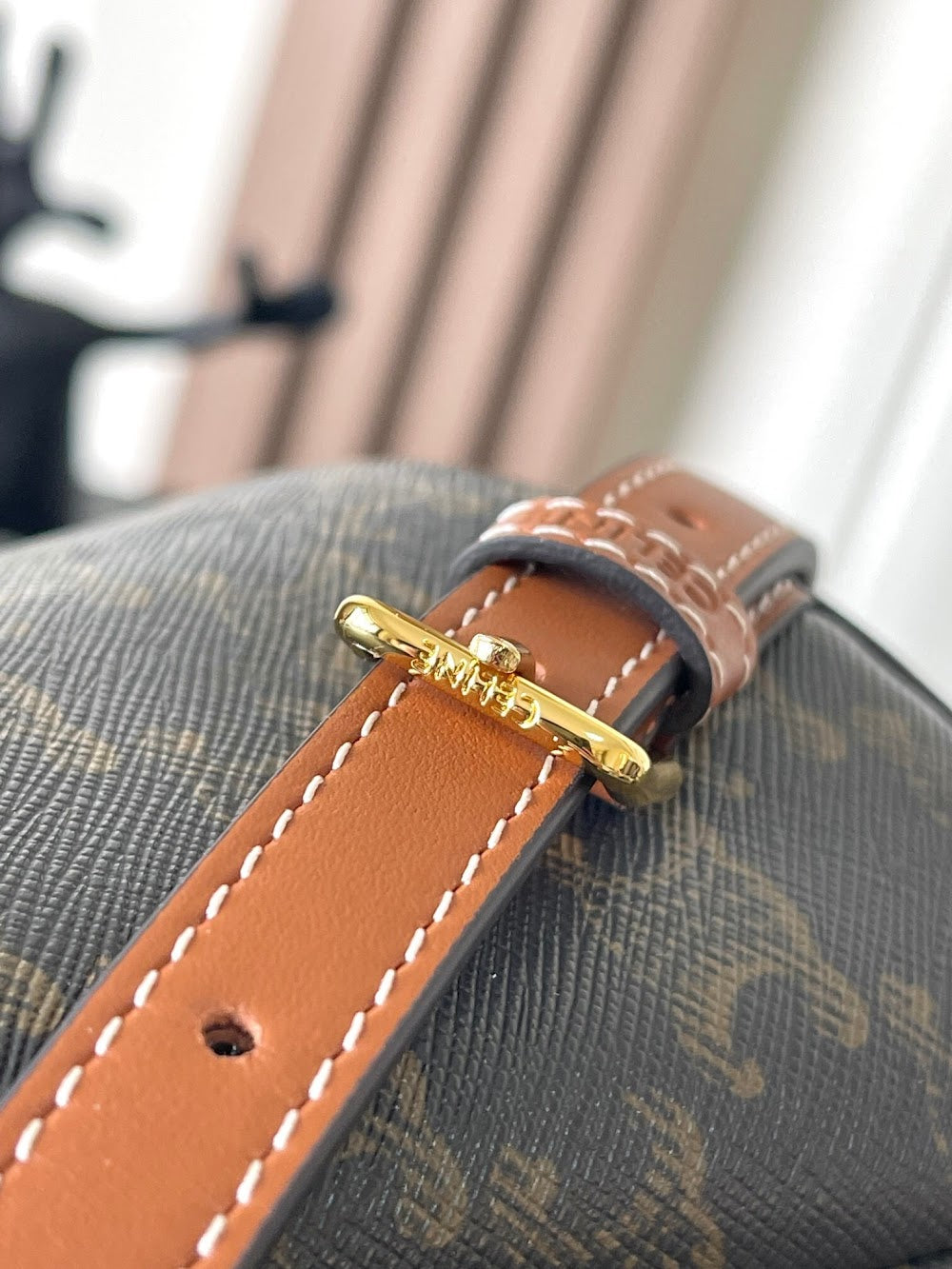 Dragons Bags Celine Luxury Bag --112102