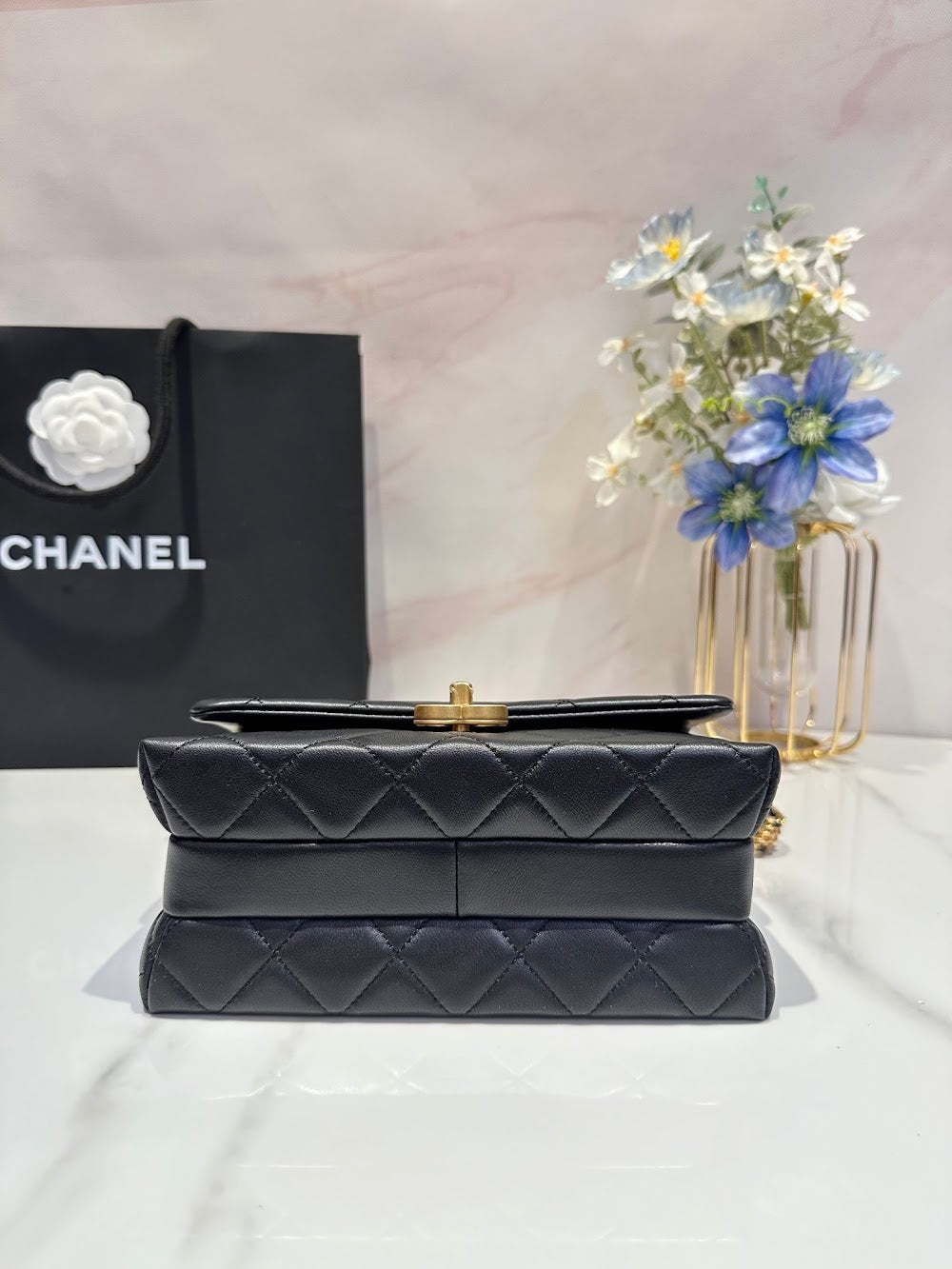 Dragons BagsCHn Luxury Bag --114113