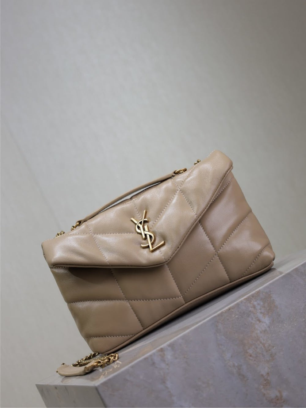 Dragons Bags YSLn Luxury Bag --119431