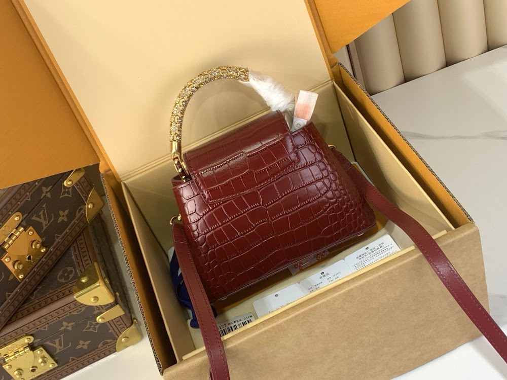 Dragons Bags ln Luxury Bag --95716