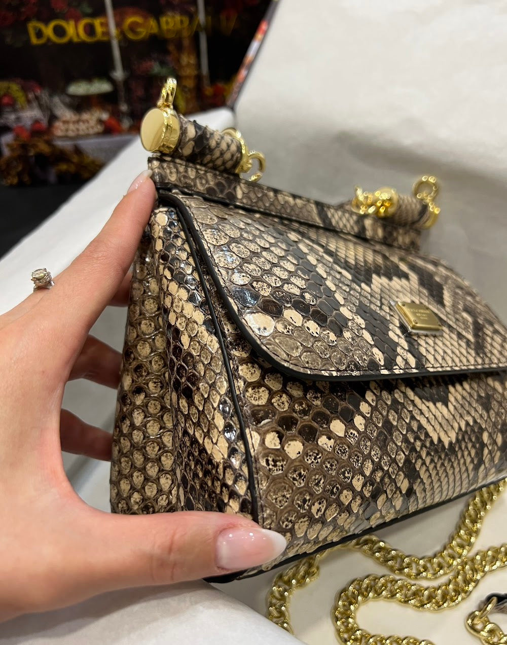 Dragons Bags DGn Luxury Bag --93287