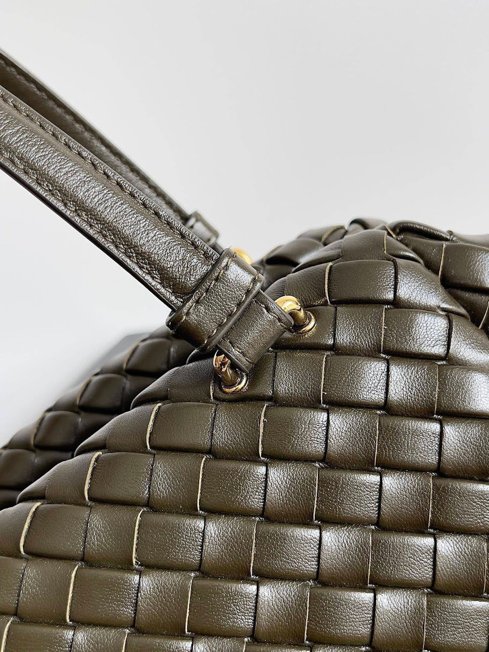 Dragons Bags Bottegan Luxury Bag --91150