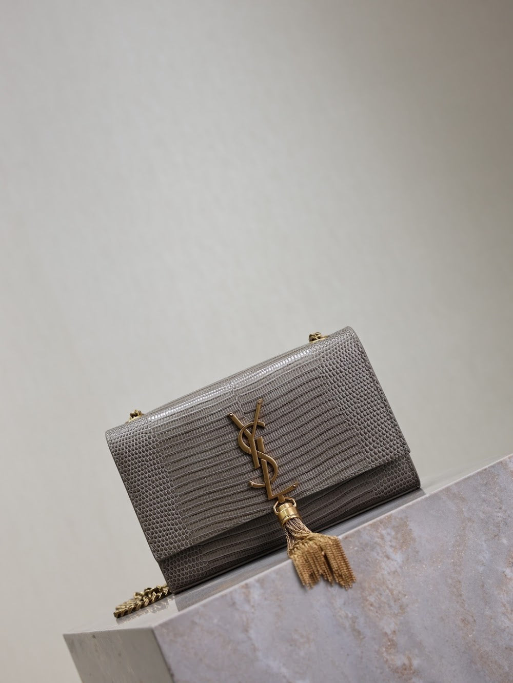 Dragons Bags YSLn Luxury Bag --119164