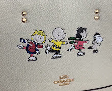 new-luxury-designer-bags-nm6589