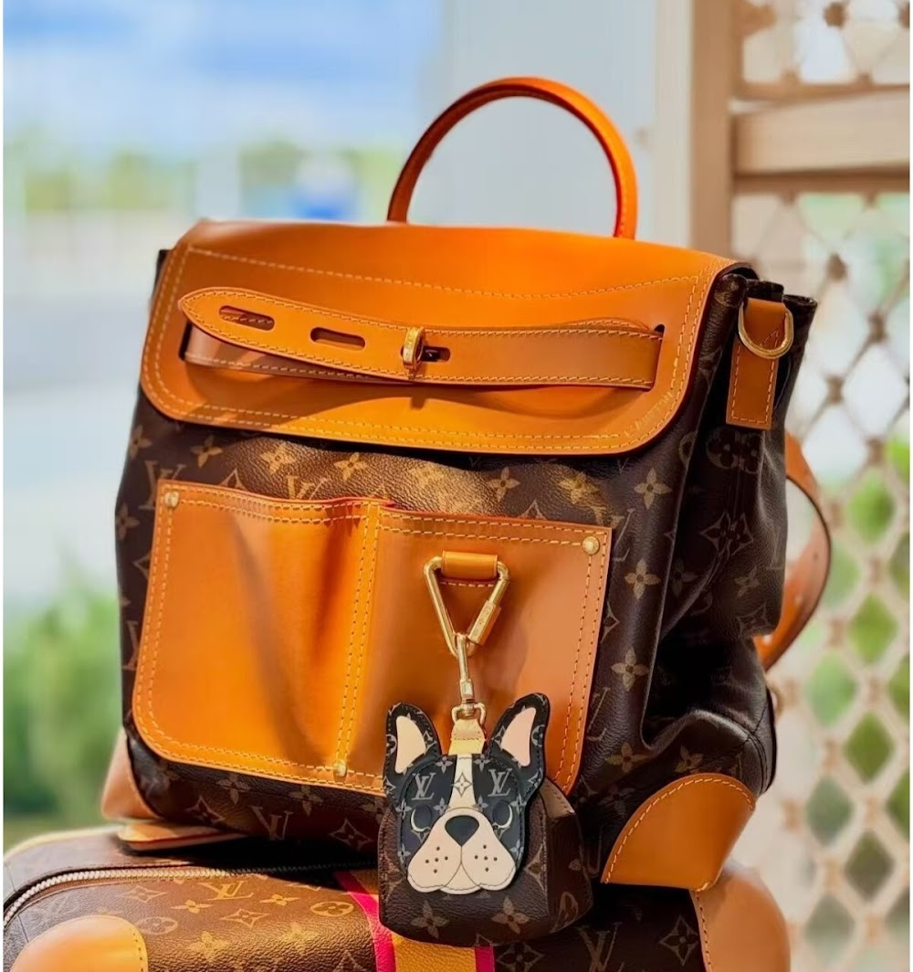 Dragons Bags ln Luxury Bag --95639