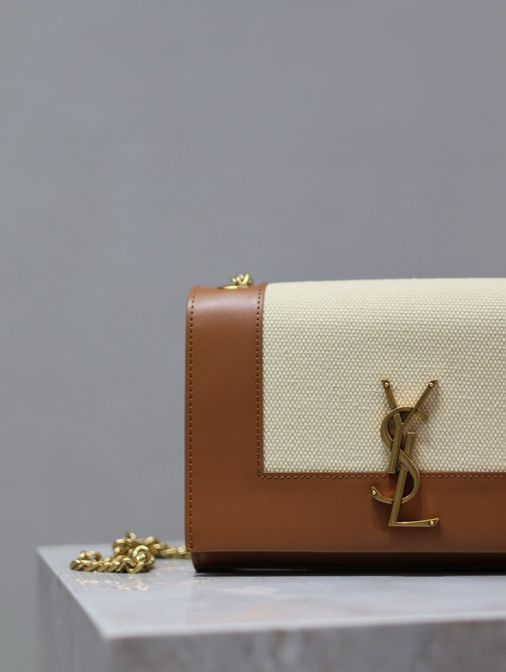 Dragons Bags YSLn Luxury Bag --120549
