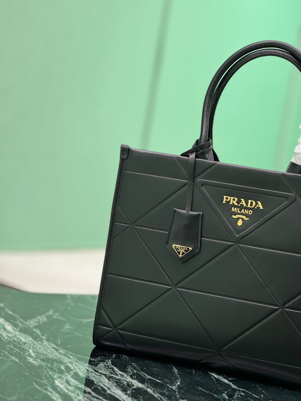 Dragons Bags Pradn Luxury Bag --101639