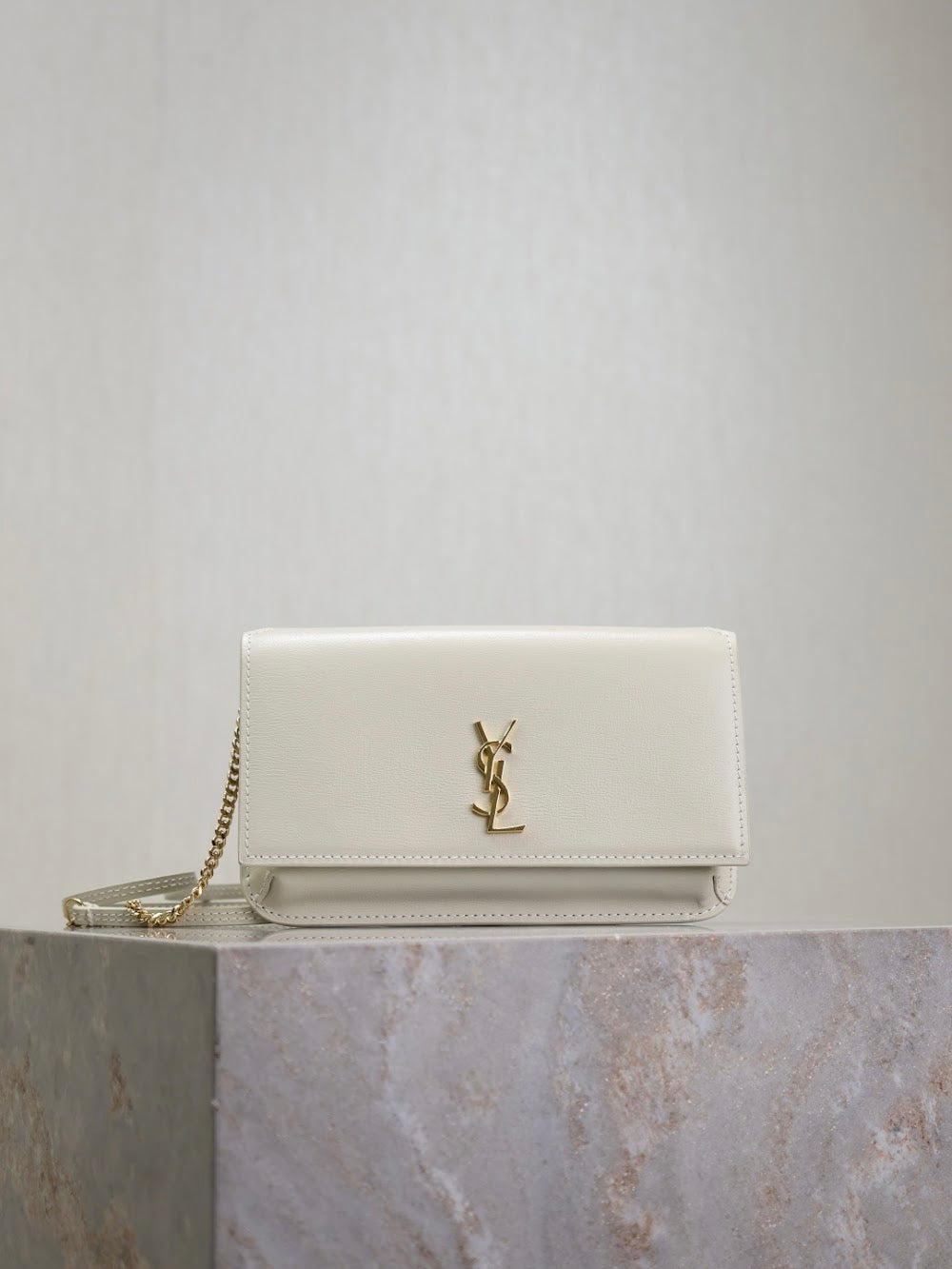 Dragons Bags YSLn Luxury Bag --120479