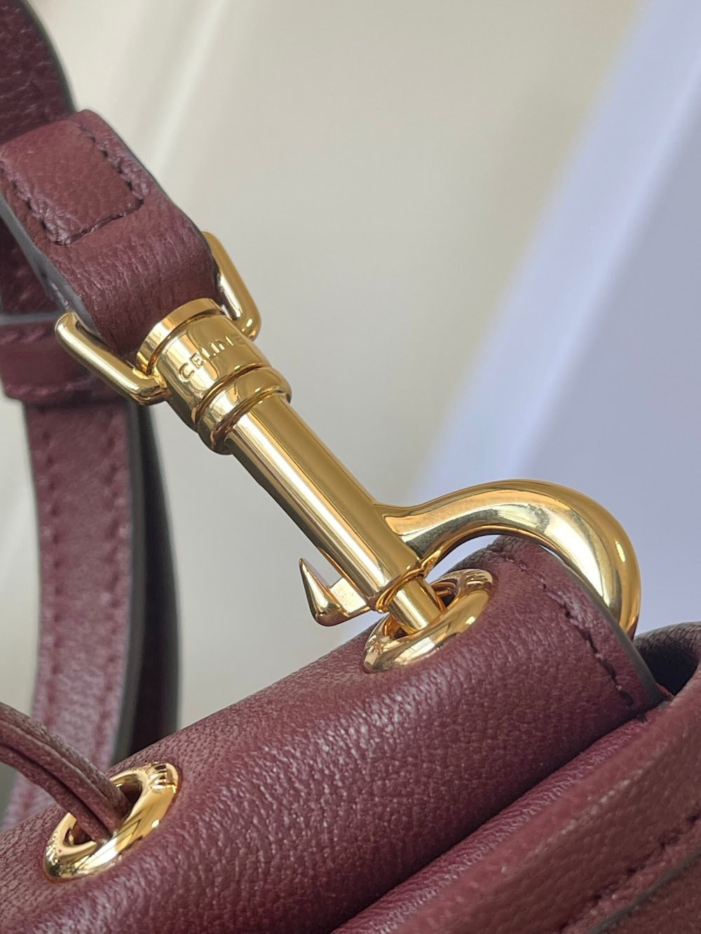 Dragons Bags Celine Luxury Bag --112647