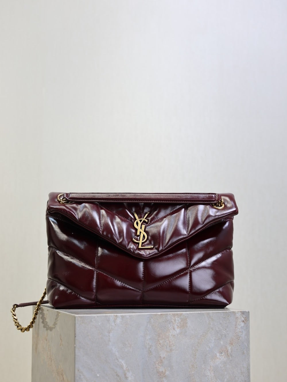 Dragons Bags YSLn Luxury Bag --119718