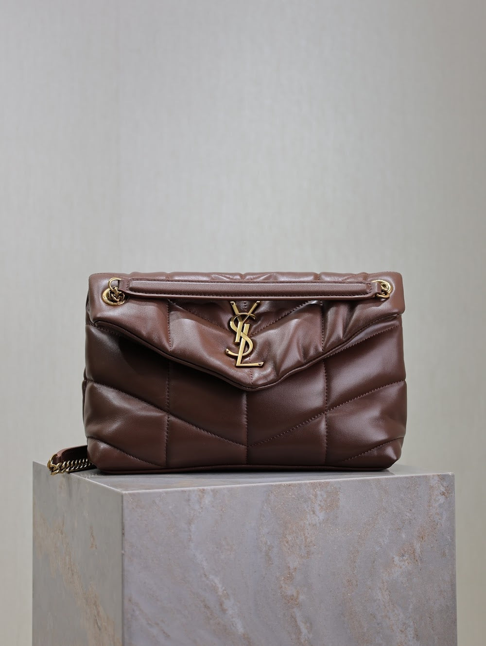 Dragons Bags YSLn Luxury Bag --119417