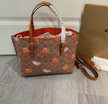 new-designer-premium-bags-nm6302