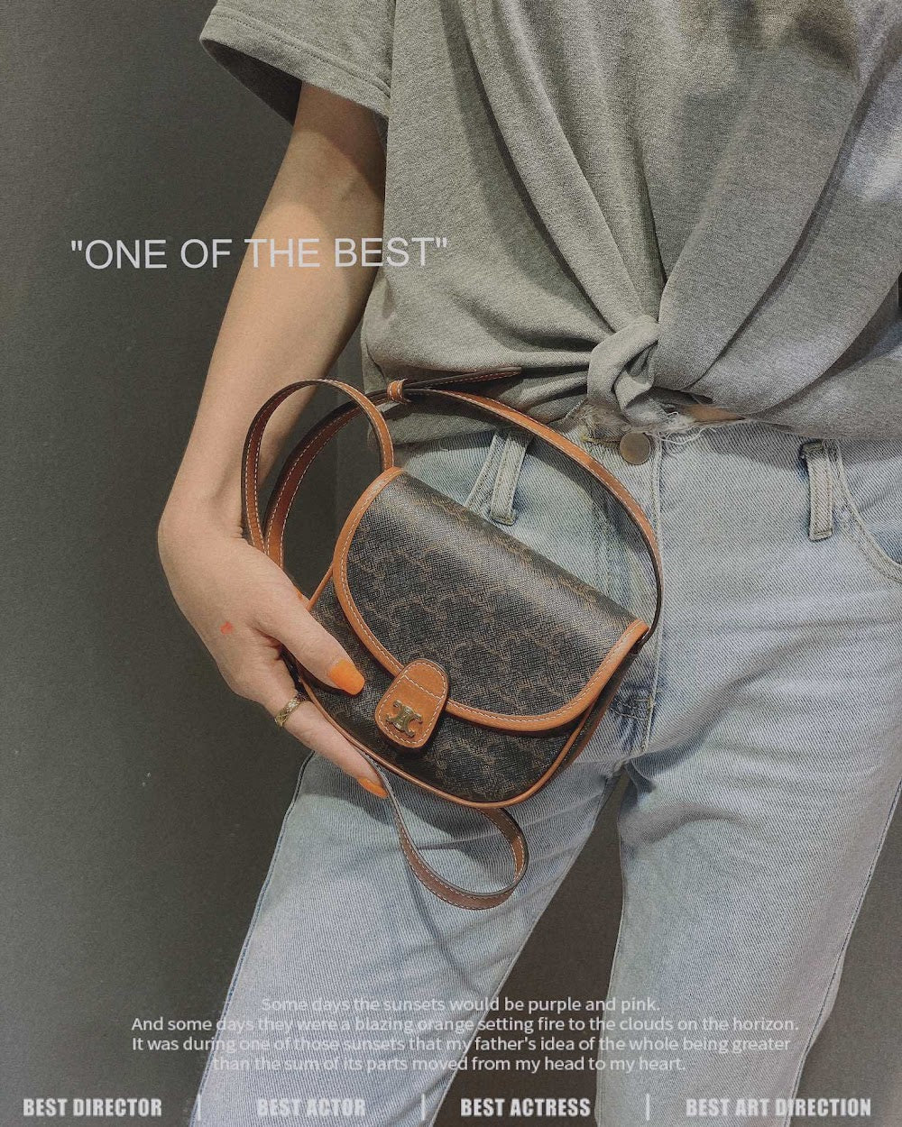 Dragons Bags Celine Luxury Bag --112392