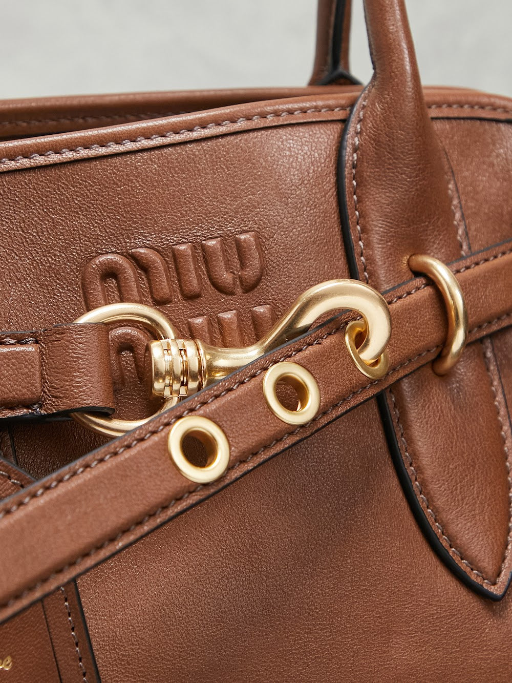 Dragons Bags Miun Miun Luxury Bag --123099