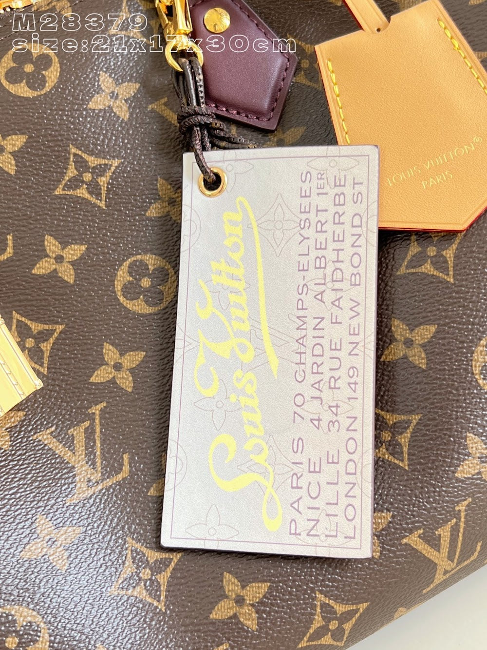 Dragons Bags ln Luxury Bag --95977