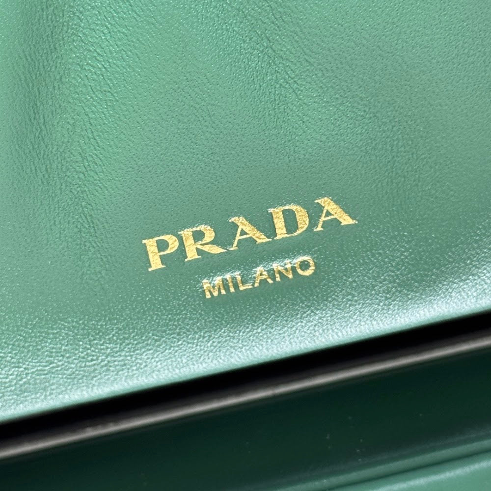 Dragons Bags Pradn Luxury Bag --101594