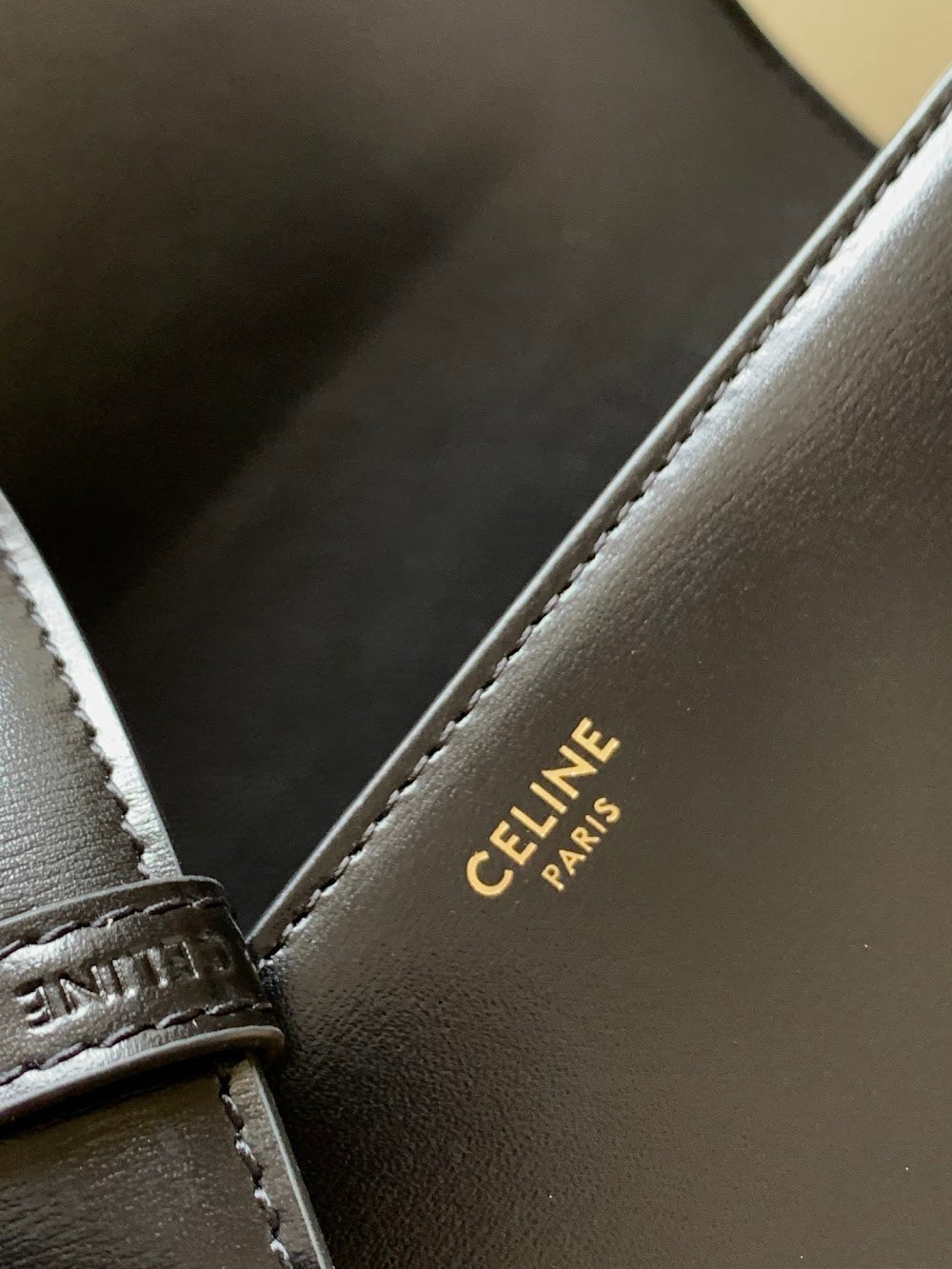 Dragons Bags Celine Luxury Bag --112581
