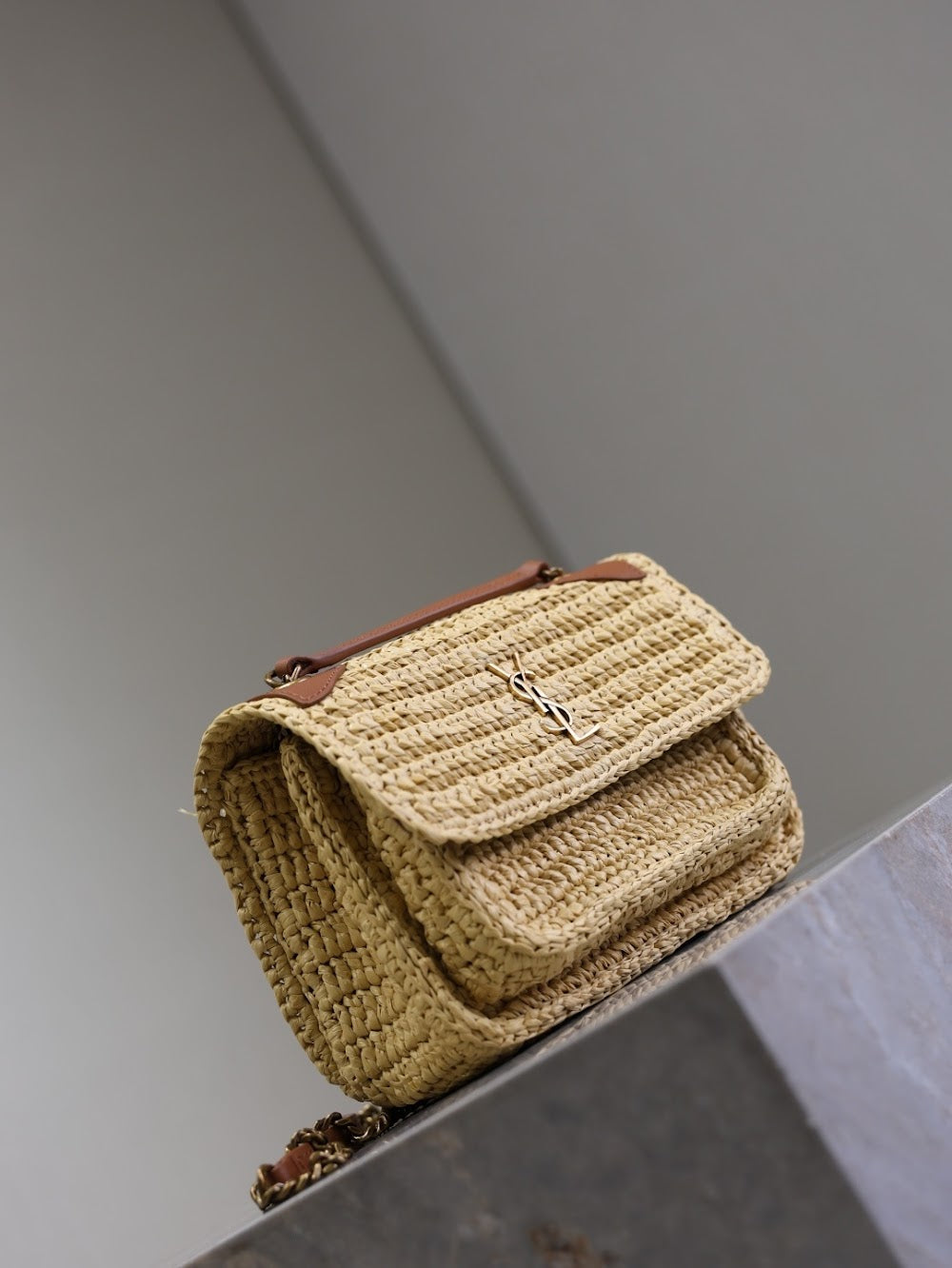 Dragons Bags YSLn Luxury Bag --119184