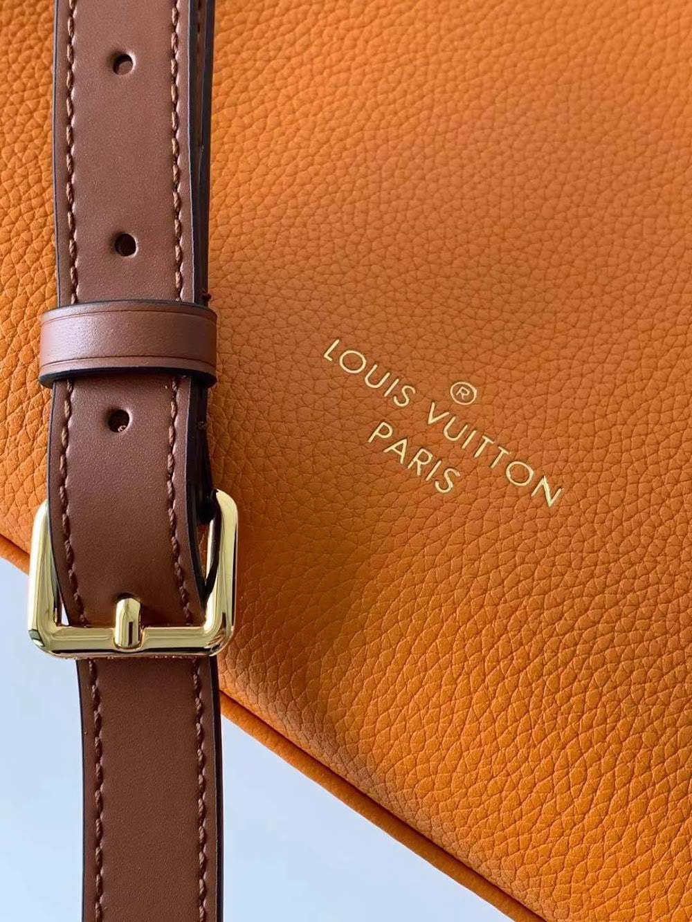 Dragons Bags ln Luxury Bag --66899