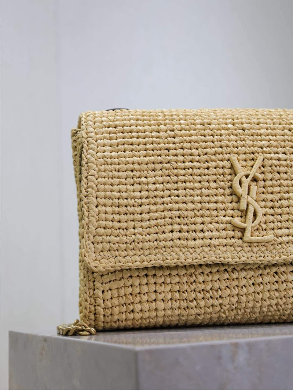 Dragons Bags YSLn Luxury Bag --120233