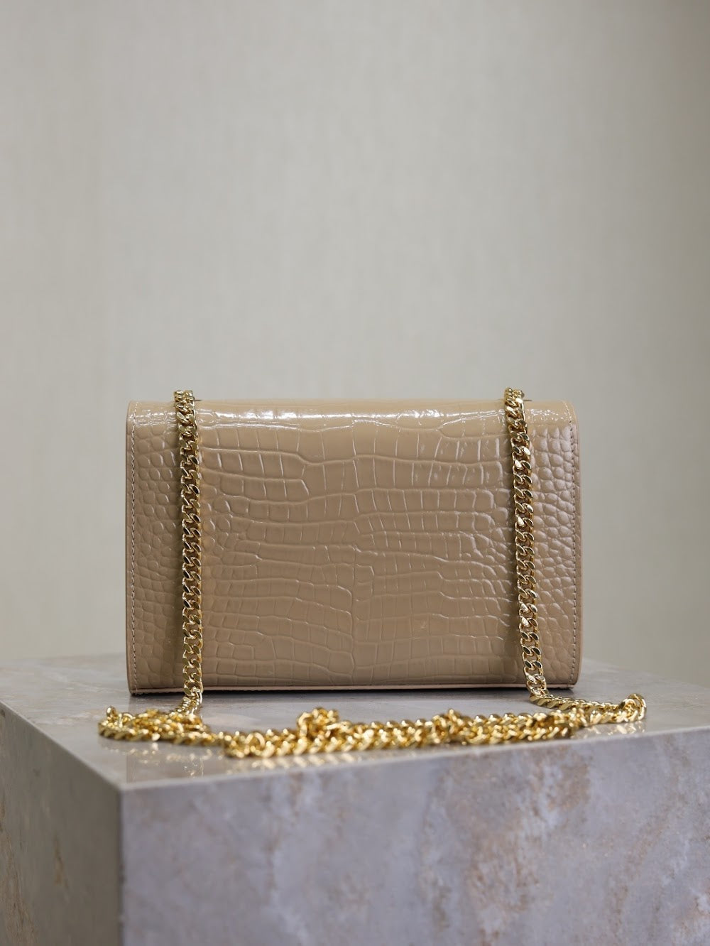 Dragons Bags YSLn Luxury Bag --119161