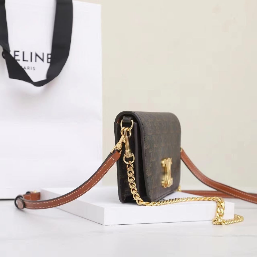Dragons Bags Celine Luxury Bag --112279