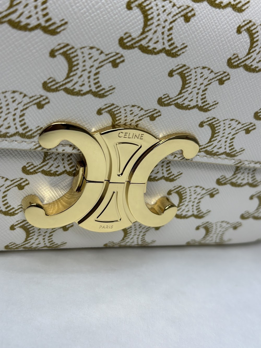 Dragons Bags Celine Luxury Bag --112429