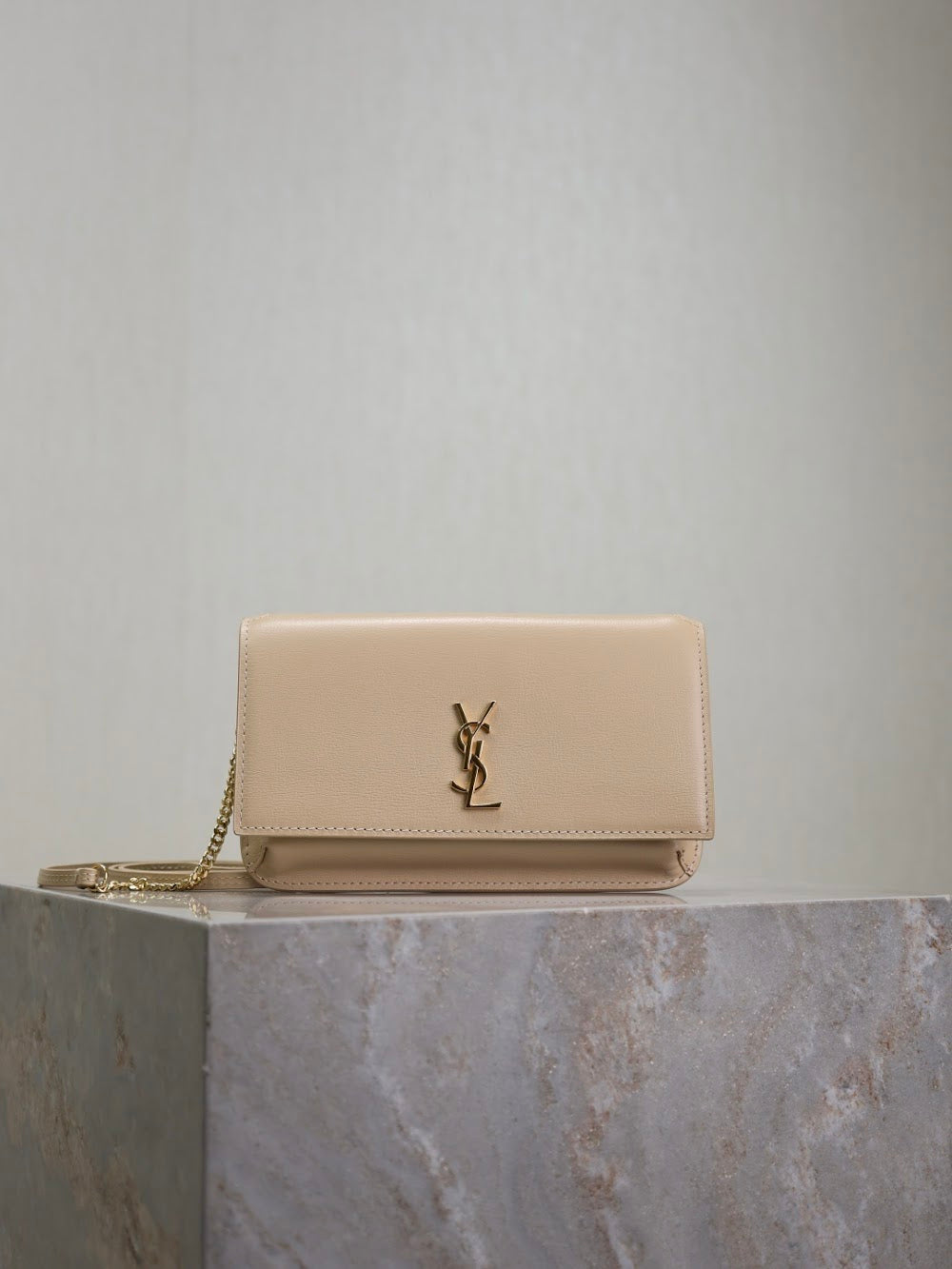 Dragons Bags YSLn Luxury Bag --120478