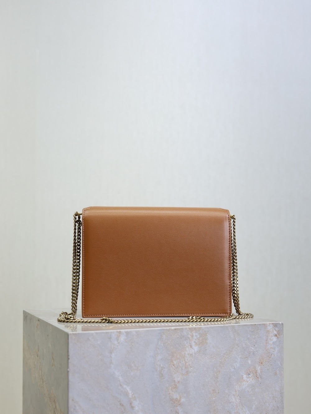 Dragons Bags YSLn Luxury Bag --119709