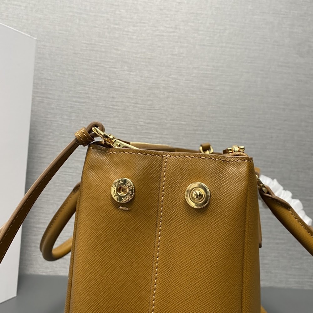 Dragons Bags Pradn Luxury Bag --102702