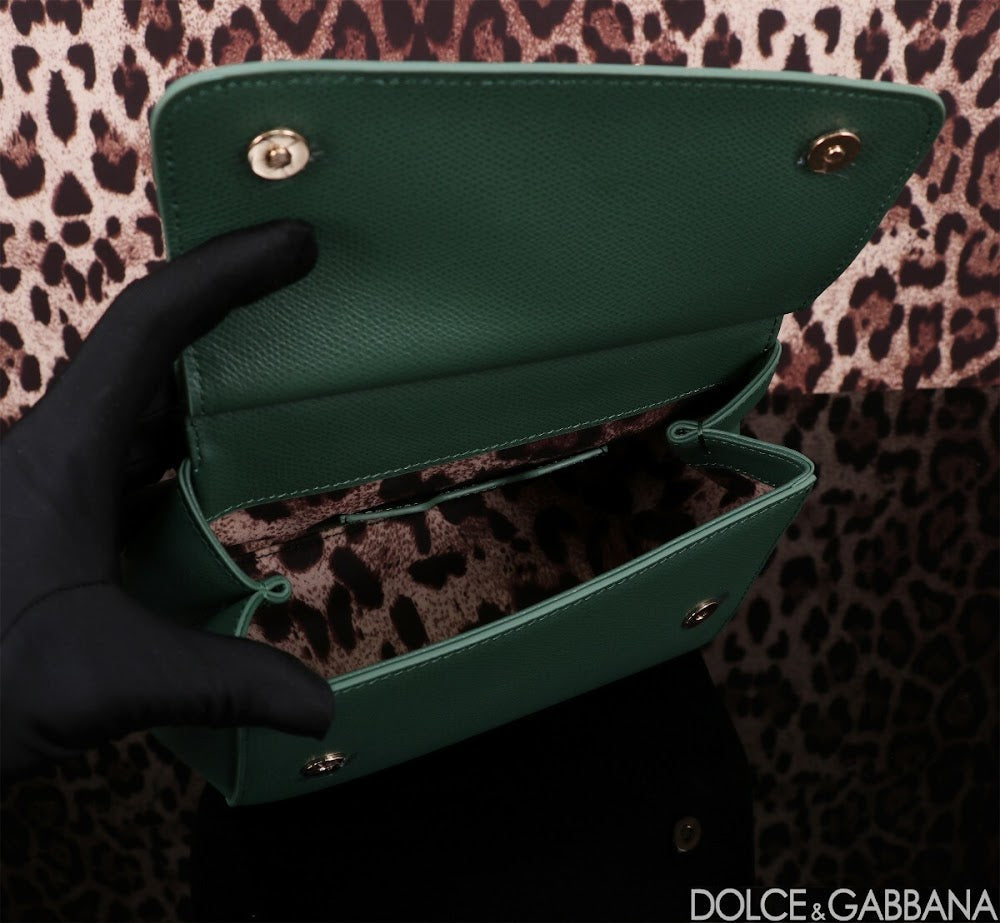 Dragons Bags DGn Luxury Bag --93598