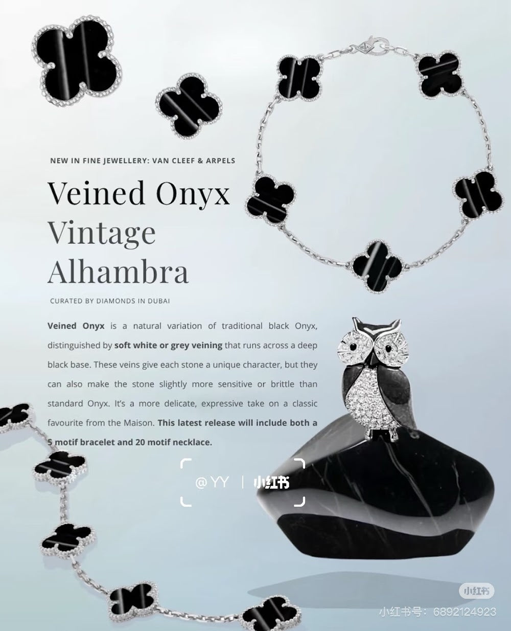 Dragons Bags VCA Luxury Jewelry --51834