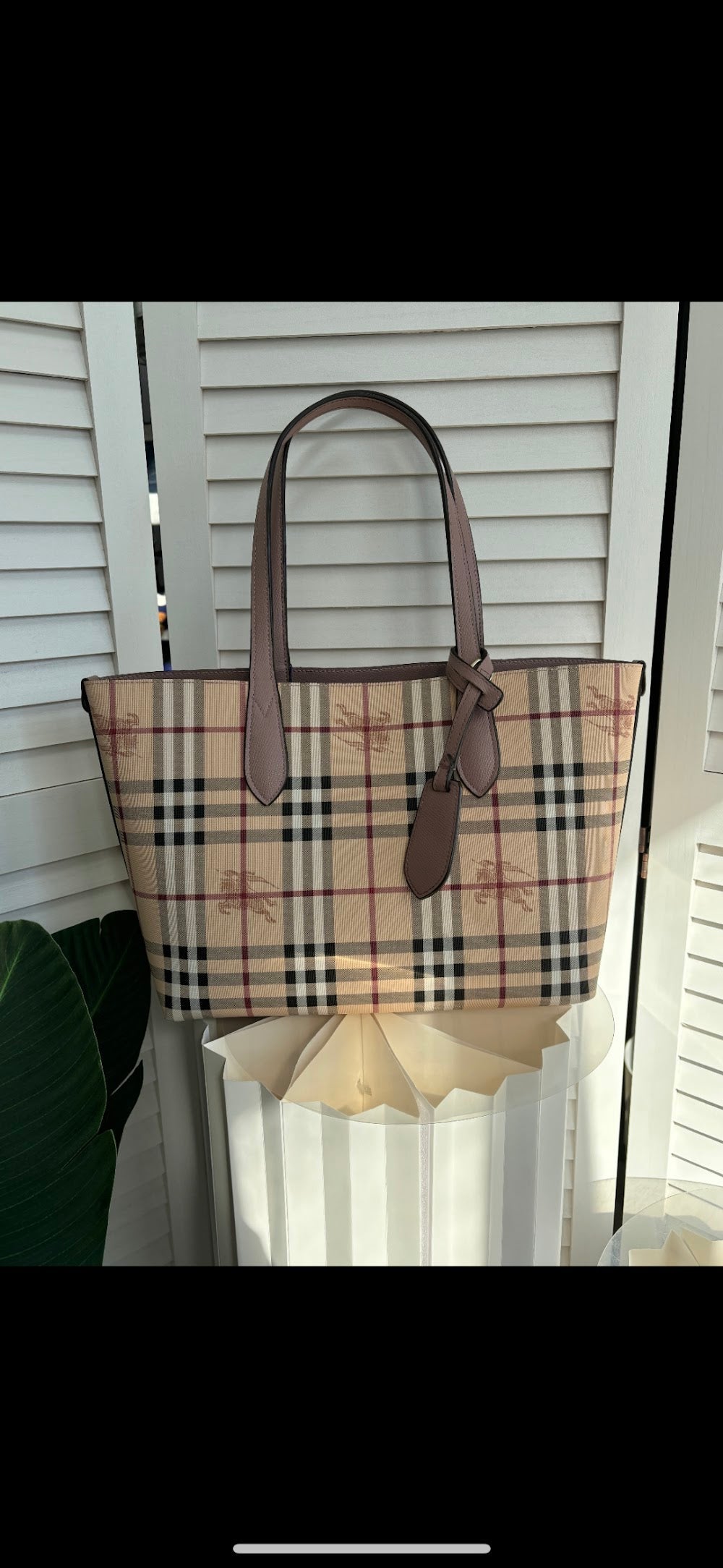 Dragons Bags Burberryn Luxury Bag --91684
