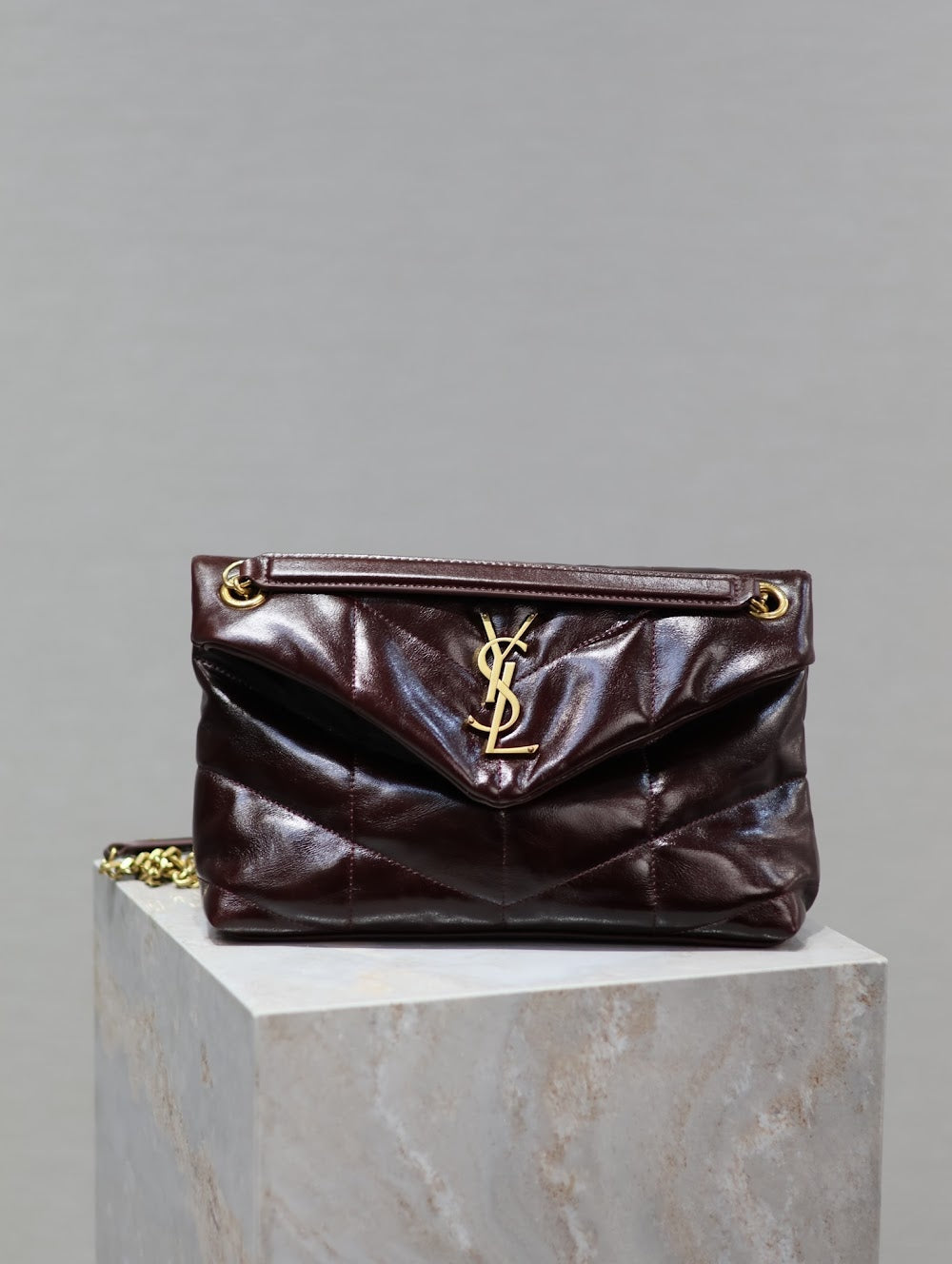 Dragons Bags YSLn Luxury Bag --119413