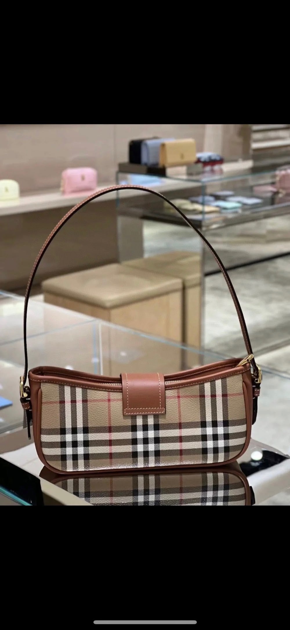 Dragons Bags Burberryn Luxury Bag --92061
