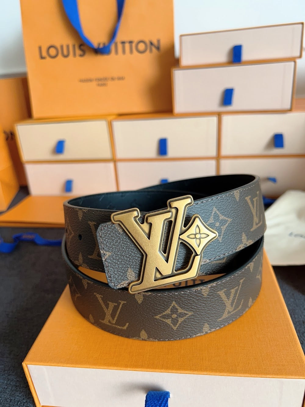 Dragons Bags ln Luxury Belt --109598