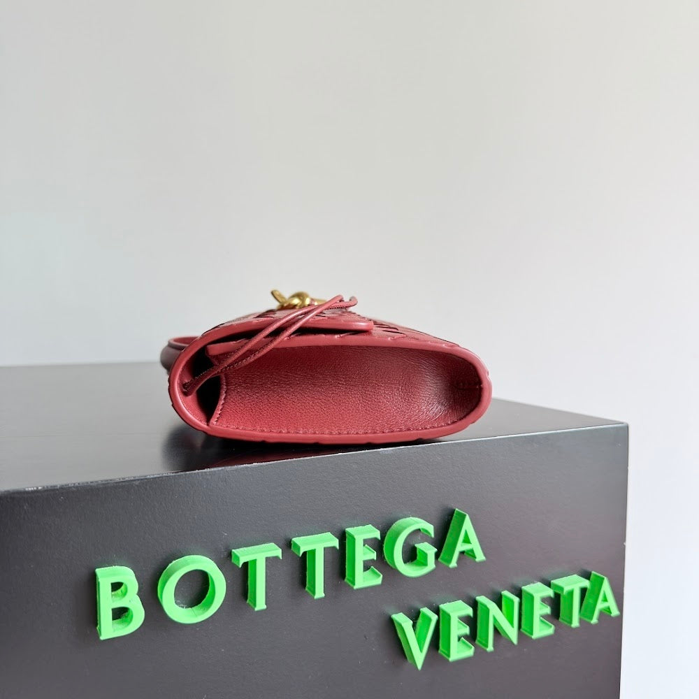 Dragons Bags Bottegan Luxury Bag --91498