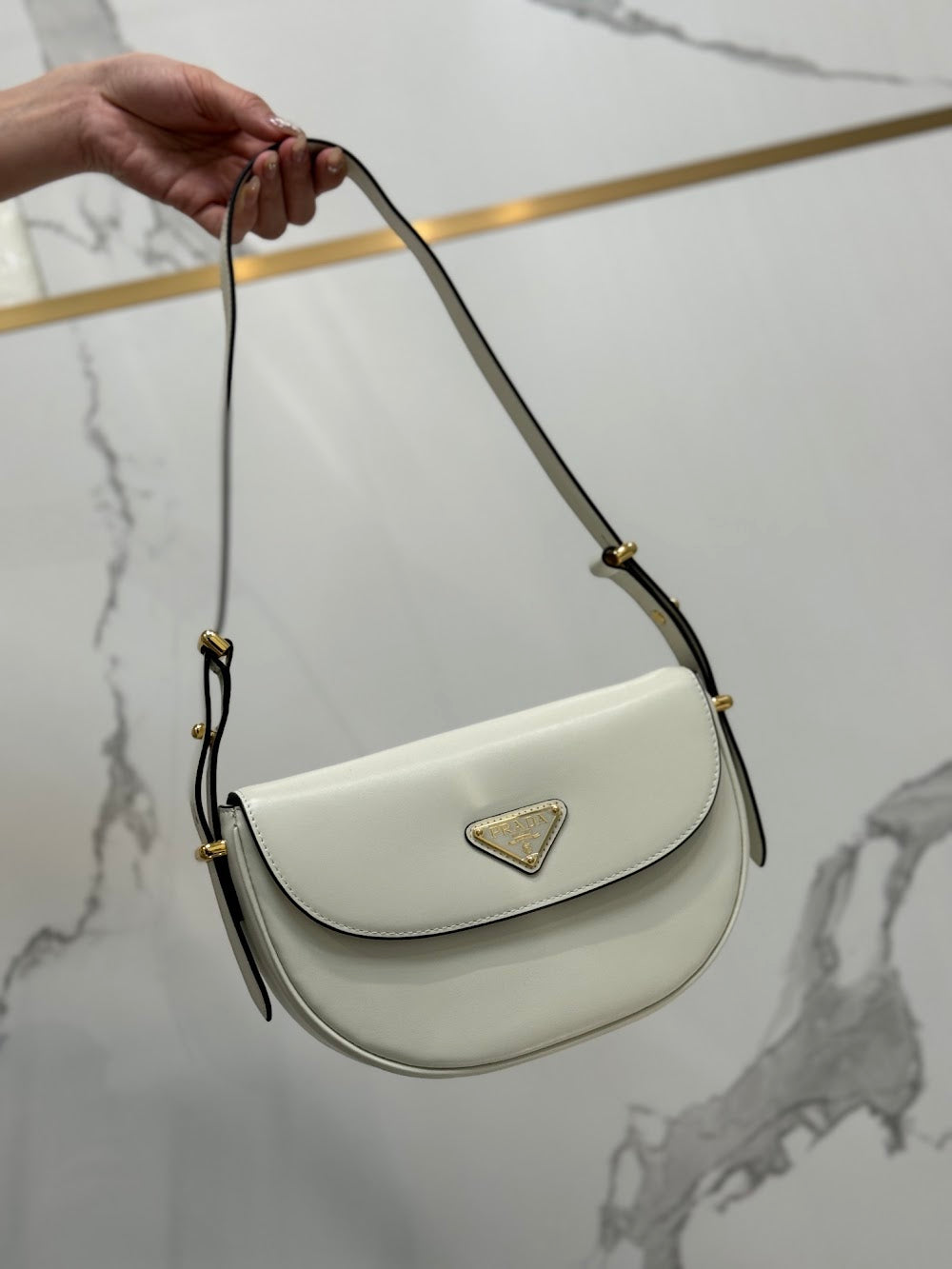 Dragons Bags Pradn Luxury Bag --102089
